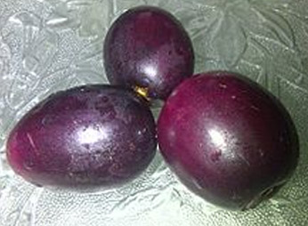 photo fruit jamelon