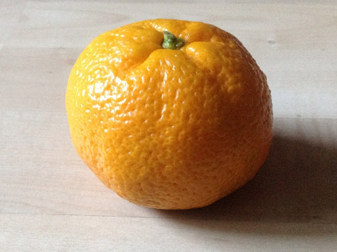photo fruit mandarine
