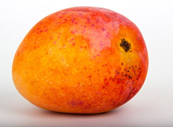 photo fruit mangue