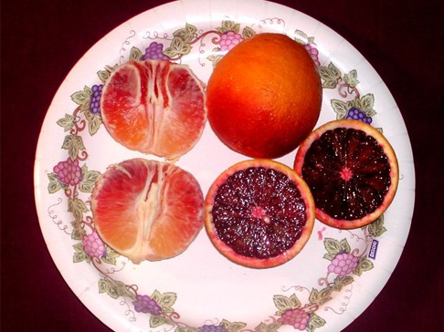 photo fruit orange sanguine