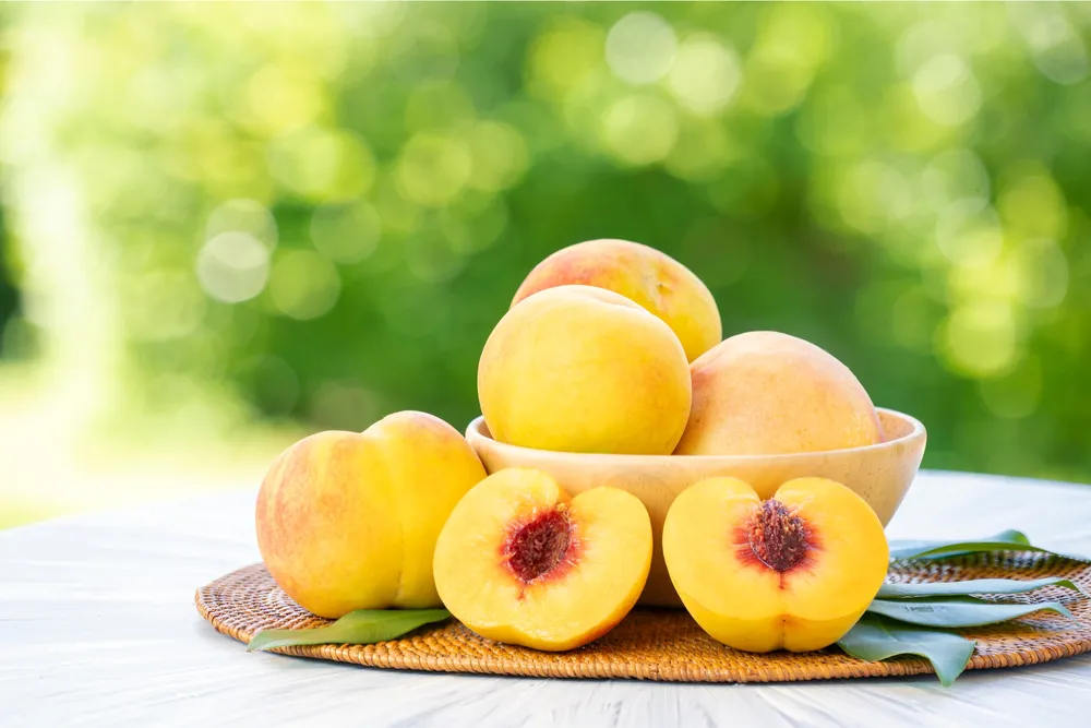 Fruits en N